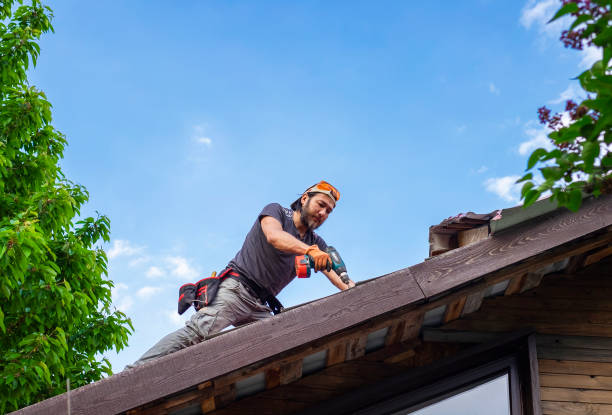 Fast & Reliable Emergency Roof Repairs in Shiloh, OH